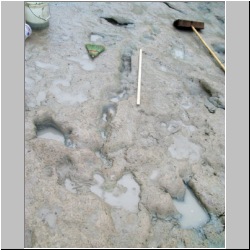 100_0607 (2009-27-07)m.JPG